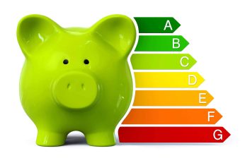 Green porcelain energy rating pig